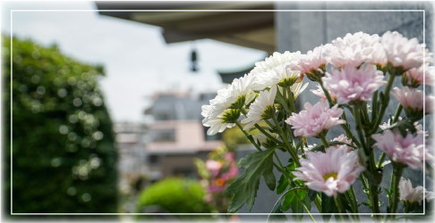 彼岸とは、仏さまのさとりの世界、お浄土のことです。夕日が真西、お浄土の方向に沈む光景を先人たちは「いのちかえりし世界」と仰がれていかれました。春分と秋分の日を中日としその前後3日、計7日間が彼岸の期間です。